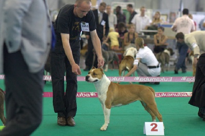 d'Assanne Story - Championnat de France 2010